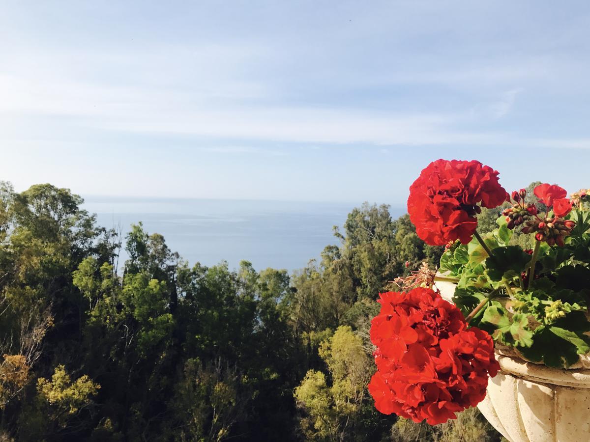 Hotel Villa Riis Taormina Dış mekan fotoğraf
